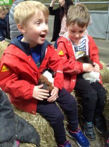 Ilkley Nursery - Farm trip