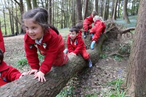 Children crawl along a log in the woods