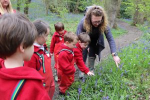 Nursery children point out bluebells with teacher in the woods