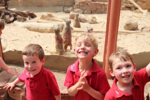 Ilkley Nursery children grinning for a picture next to the meerkats at Tropical World