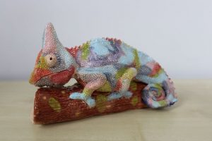 Winning art prize - clay chameleon by Georgie H